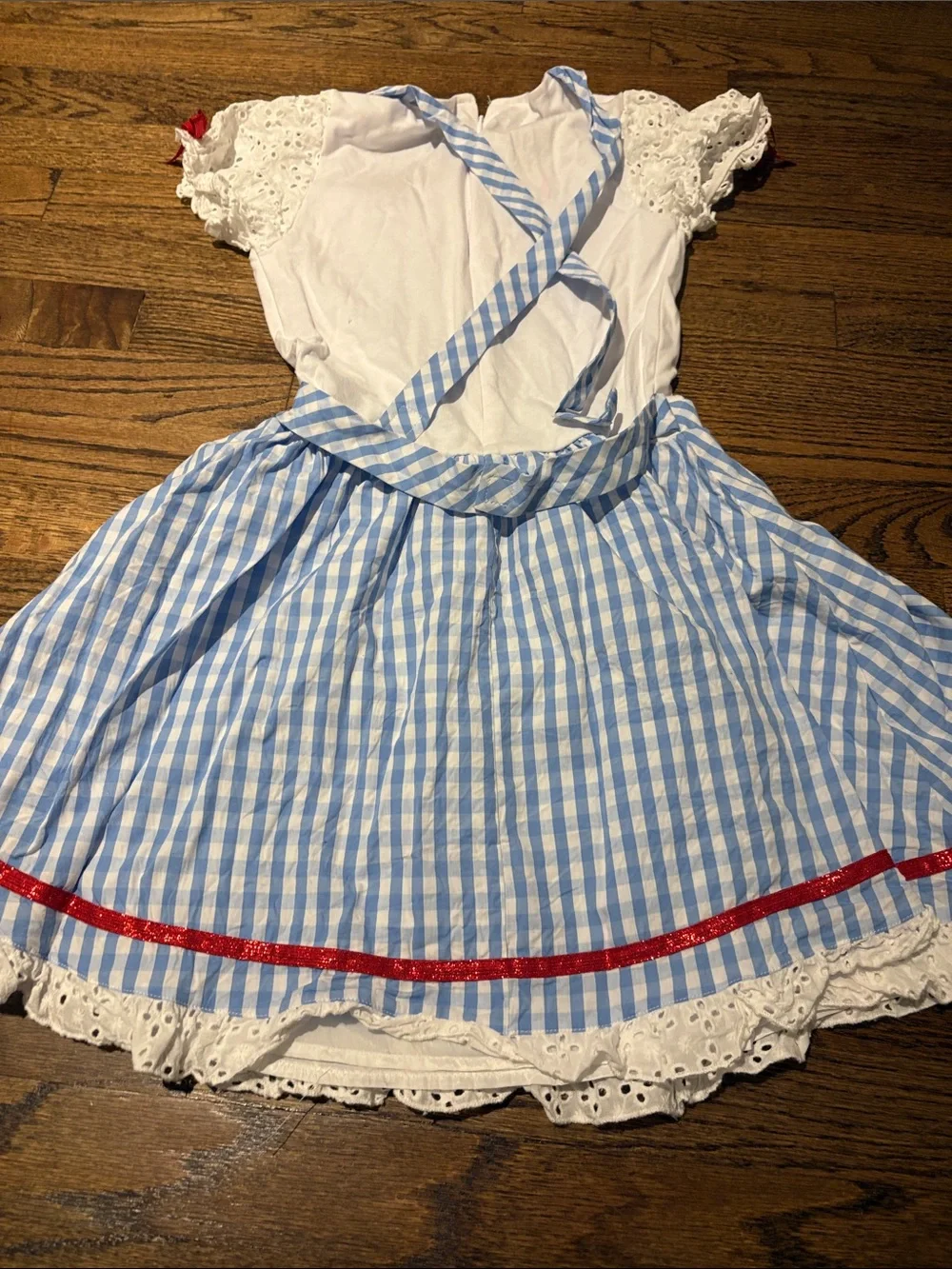 Kids Dorothy Wizard of Oz costume Halloween